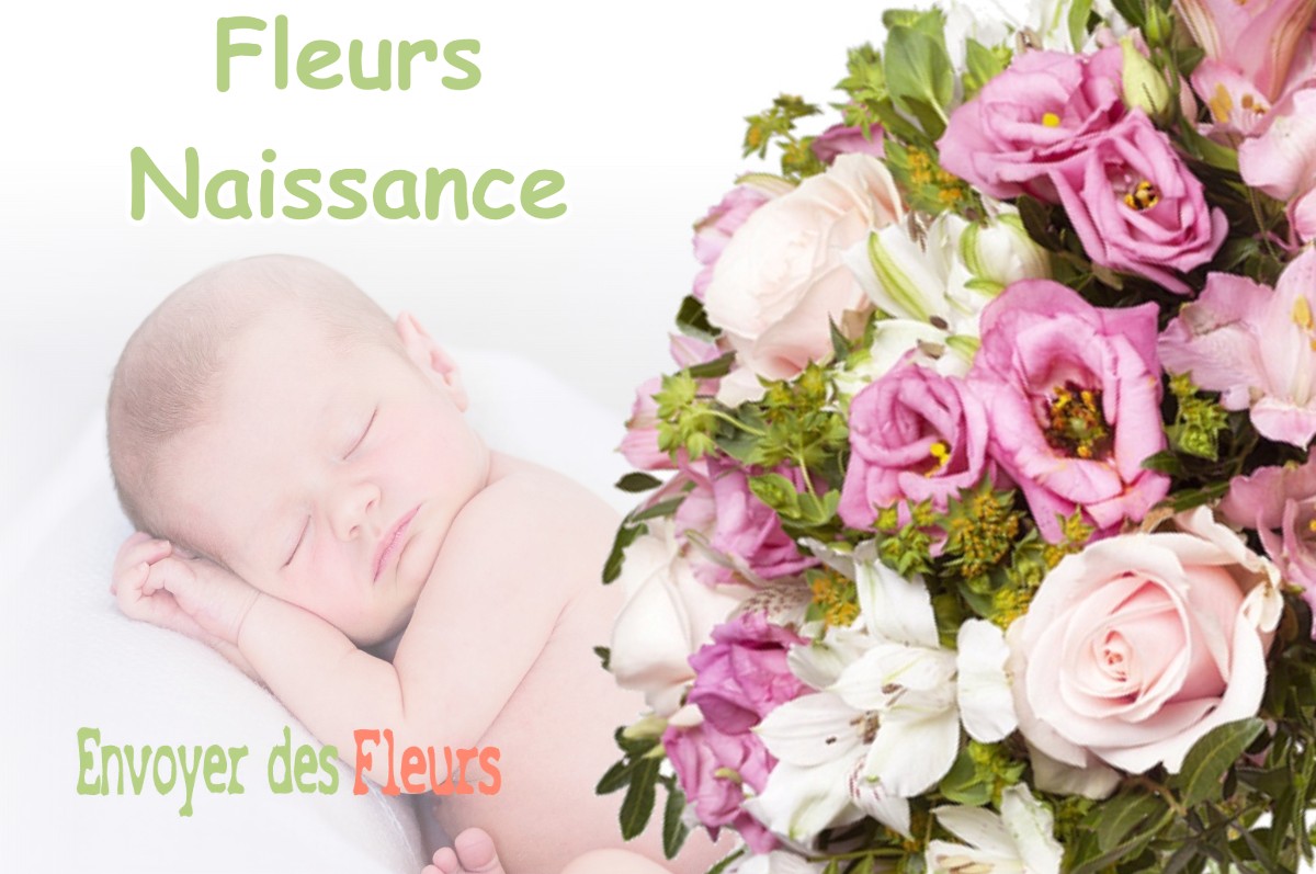 lIVRAISON FLEURS NAISSANCE à DOULCON